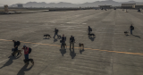 Outrage Ensues After US Military Dogs Fly Out Of Afghanistan